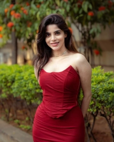 Chandigarh female escort service